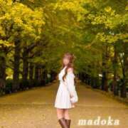 ヒメ日記 2025/11/13 20:20 投稿 まどか 府中ダービー