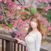 ヒメ日記 2026/02/04 23:20 投稿 まどか 府中ダービー