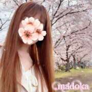 ヒメ日記 2026/04/01 08:48 投稿 まどか 府中ダービー