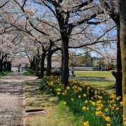 ヒメ日記 2026/04/06 21:38 投稿 まどか 府中ダービー