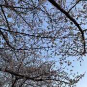 ヒメ日記 2025/04/04 12:17 投稿 えみ 京都人妻デリヘル倶楽部