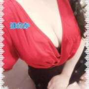 ヒメ日記 2025/12/27 17:35 投稿 ほのか 池袋夢幻