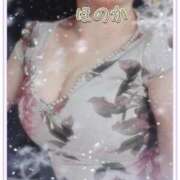 ヒメ日記 2026/01/04 20:05 投稿 ほのか 池袋夢幻