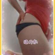 ヒメ日記 2026/01/18 19:00 投稿 ほのか 池袋夢幻