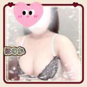 ヒメ日記 2026/02/01 07:46 投稿 ほのか 池袋夢幻