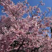 ヒメ日記 2026/03/17 17:52 投稿 真由 EXE（エグゼ）