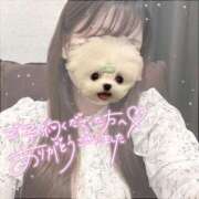 ヒメ日記 2025/01/18 16:42 投稿 UTA 濃密バブルSPA VIP