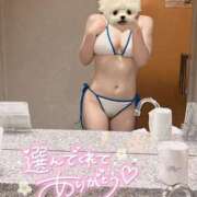 ヒメ日記 2025/02/05 23:12 投稿 UTA 濃密バブルSPA VIP