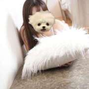 ヒメ日記 2025/02/08 22:44 投稿 UTA 濃密バブルSPA VIP