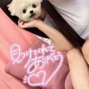 ヒメ日記 2025/04/02 19:04 投稿 UTA 濃密バブルSPA VIP