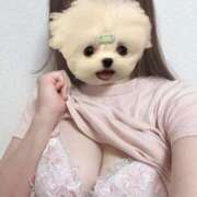 ヒメ日記 2025/04/08 09:14 投稿 UTA 濃密バブルSPA VIP