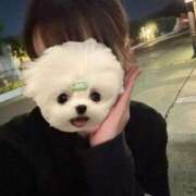 ヒメ日記 2025/04/09 21:34 投稿 UTA 濃密バブルSPA VIP