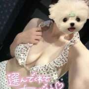 ヒメ日記 2025/09/19 15:24 投稿 UTA 濃密バブルSPA VIP