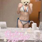 ヒメ日記 2025/11/10 22:14 投稿 UTA 濃密バブルSPA VIP