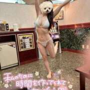 ヒメ日記 2025/11/15 22:44 投稿 UTA 濃密バブルSPA VIP