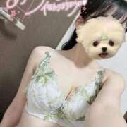 ヒメ日記 2025/11/22 22:44 投稿 UTA 濃密バブルSPA VIP