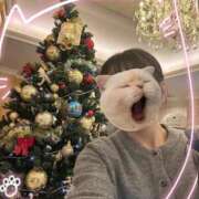 ヒメ日記 2025/11/23 20:34 投稿 UTA 濃密バブルSPA VIP