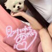 ヒメ日記 2025/11/30 11:44 投稿 UTA 濃密バブルSPA VIP