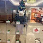 ヒメ日記 2025/12/02 13:54 投稿 UTA 濃密バブルSPA VIP