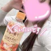 ヒメ日記 2025/12/16 07:04 投稿 UTA 濃密バブルSPA VIP