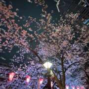 ヒメ日記 2025/04/04 18:01 投稿 CHLOE さくらん東京