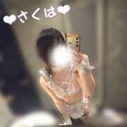 ヒメ日記 2025/03/03 13:37 投稿 さくは 栃木♂風俗の神様宇都宮店