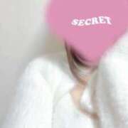 ヒメ日記 2025/05/03 00:18 投稿 はくあ ルーフ福井