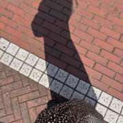 ヒメ日記 2025/05/08 09:08 投稿 める エレガンス(広島)