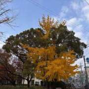 ヒメ日記 2025/12/01 09:03 投稿 める エレガンス(広島)