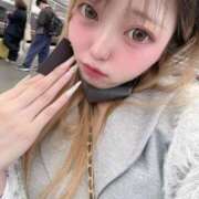 ひめ 10時からいてるよー！ 京都BOOK MARK（ブックマーク）