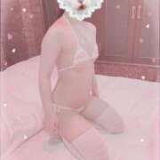 ヒメ日記 2024/12/20 19:34 投稿 いろは 横浜関内人妻城