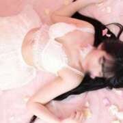 ヒメ日記 2025/08/05 07:48 投稿 てん The White