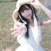 ヒメ日記 2025/09/13 16:16 投稿 てん The White