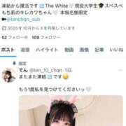 ヒメ日記 2025/10/21 20:03 投稿 てん The White