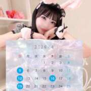 てん ⭐️4月シフト⭐️ The White