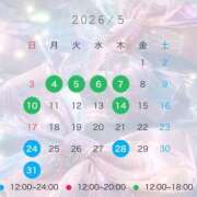 ヒメ日記 2026/04/24 11:18 投稿 てん The White