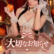 ヒメ日記 2026/10/21 19:06 投稿 てん The White（ザ ホワイト）