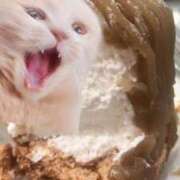 ヒメ日記 2025/11/26 13:41 投稿 あんな 丸妻 厚木店