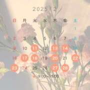 ヒメ日記 2025/02/09 15:20 投稿 Asahi Shikishima ELEGANT－エレガント－