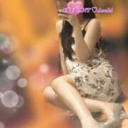 ヒメ日記 2025/03/10 09:37 投稿 Asahi Shikishima ELEGANT－エレガント－