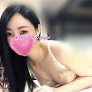 ヒメ日記 2025/11/26 08:39 投稿 Asahi Shikishima ELEGANT－エレガント－