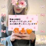 ヒメ日記 2024/12/10 13:55 投稿 悠希(ゆうき) 高知デリヘル倶楽部 人妻熟女専門店