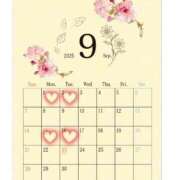 ヒメ日記 2025/08/28 23:49 投稿 悠希(ゆうき) 高知デリヘル倶楽部 人妻熟女専門店