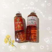 ヒメ日記 2025/03/27 17:45 投稿 なのはな おじさま大好き素人オナクラ谷九店