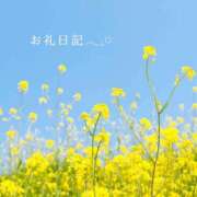 ヒメ日記 2025/04/01 16:03 投稿 なのはな おじさま大好き素人オナクラ谷九店