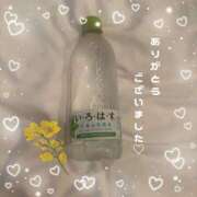 ヒメ日記 2025/11/11 10:00 投稿 なのはな おじさま大好き素人オナクラ谷九店