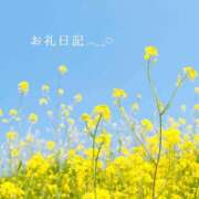 ヒメ日記 2026/01/14 15:22 投稿 なのはな おじさま大好き素人オナクラ谷九店