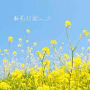 ヒメ日記 2026/04/01 15:48 投稿 なのはな おじさま大好き素人オナクラ谷九店