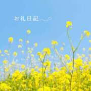 ヒメ日記 2026/07/13 14:20 投稿 なのはな おじさま大好き素人オナクラ谷九店