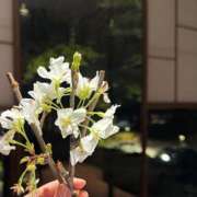 光月きほ 甘えて、甘えられて グランエステ東京 品川（シンデレラグループ）